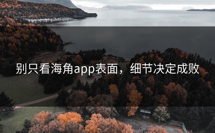 别只看海角app表面，细节决定成败