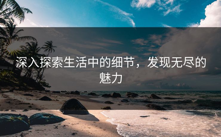 深入探索生活中的细节，发现无尽的魅力
