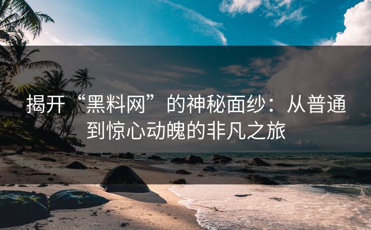 揭开“黑料网”的神秘面纱：从普通到惊心动魄的非凡之旅