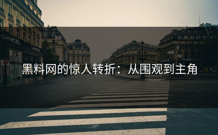 黑料网的惊人转折:从围观到主角 黑料网的惊人转折:从围观到主角