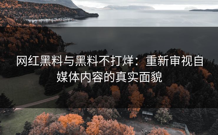 网红黑料与黑料不打烊：重新审视自媒体内容的真实面貌